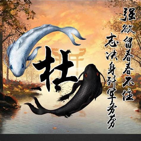 鯉魚吉祥話|中國的吉祥之魚是河魚 日經中文網